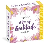 A Year of Gratitude Page-A-Day® Calendar 2025