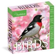 Audubon Birds Page-A-Day® Calendar 2026