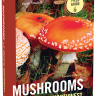 Mushrooms of the Pacific Northwest
