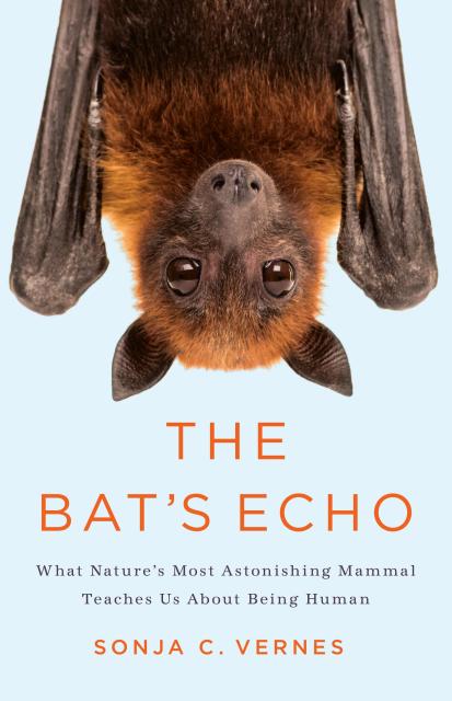 The Bat’s Echo